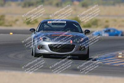 media/Oct-15-2023-Lucky Dog Racing Chuckwalla (Sun) [[f659570f60]]/1st Stint Turn 11/